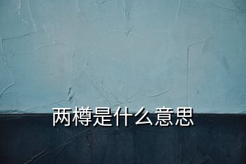 两樽是什么意思