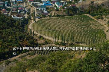 家里有种德国酒喝起来味道像止咳药枇杷膏的味道瓶身上有