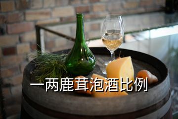 一两鹿茸泡酒比例