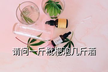 请问一斤枇杷泡几斤酒