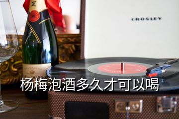 杨梅泡酒多久才可以喝