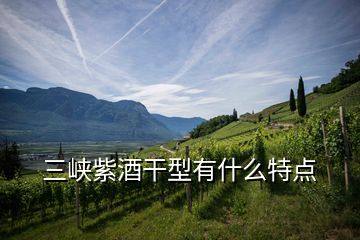 三峡紫酒干型有什么特点