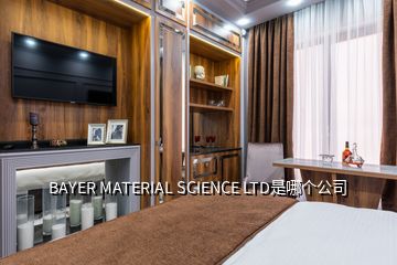 BAYER MATERIAL SCIENCE LTD是哪个公司