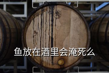 鱼放在酒里会淹死么