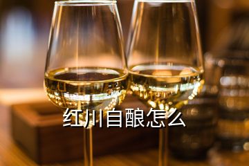 红川自酿怎么