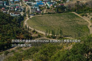 百润股份的最新目标价002568 百润股份三季报百润股份2021年能有分红