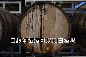 自酿葡萄酒可以加白酒吗