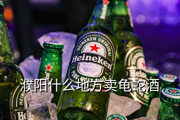 濮阳什么地方卖龟蛇酒