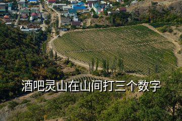 酒吧灵山在山间打三个数字