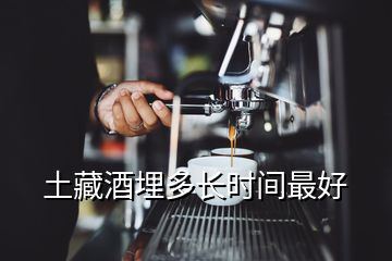 土藏酒埋多长时间最好