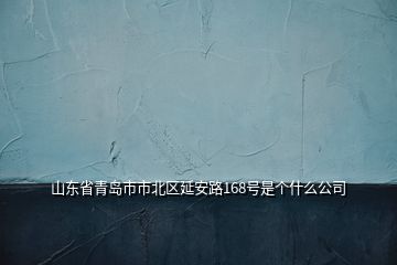 山东省青岛市市北区延安路168号是个什么公司