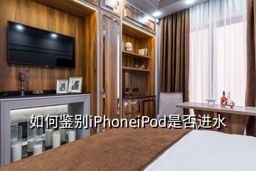 如何鉴别iPhoneiPod是否进水