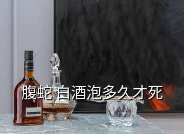 腹蛇 白酒泡多久才死