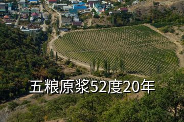 五粮原浆52度20年