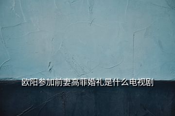 欧阳参加前妻高菲婚礼是什么电视剧