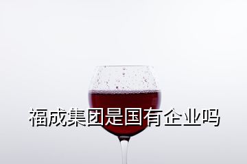 福成集团是国有企业吗