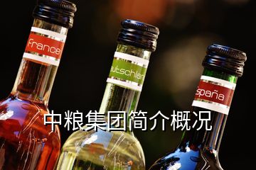 中粮集团简介概况