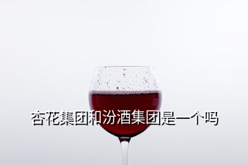 杏花集团和汾酒集团是一个吗