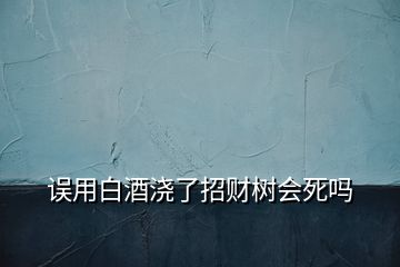 误用白酒浇了招财树会死吗