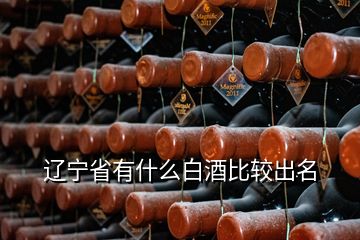 辽宁省有什么白酒比较出名