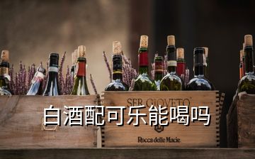 白酒配可乐能喝吗