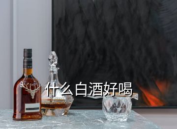 什么白酒好喝