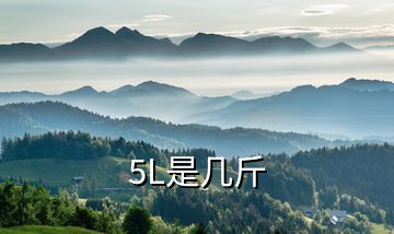 5L是几斤