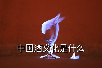 中国酒文化是什么