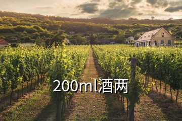 200ml酒两