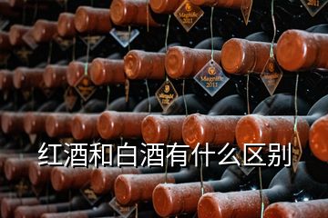 红酒和白酒有什么区别