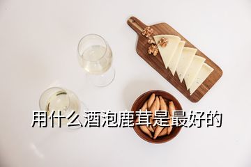 用什么酒泡鹿茸是最好的