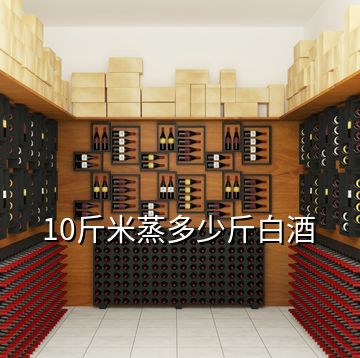 10斤米蒸多少斤白酒