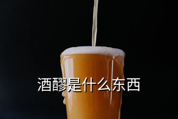 酒醪是什么东西