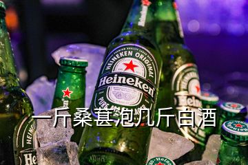 一斤桑葚泡几斤白酒