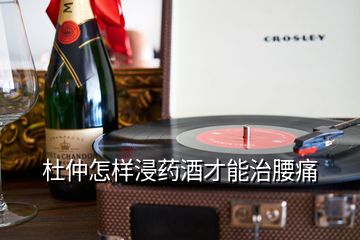 杜仲怎样浸药酒才能治腰痛