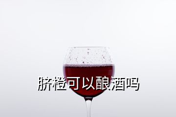 脐橙可以酿酒吗