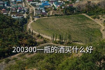 200300一瓶的酒买什么好