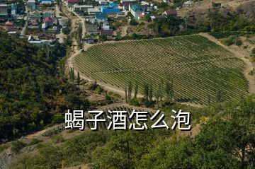 蝎子酒怎么泡