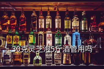 30克灵芝泡5斤酒管用吗