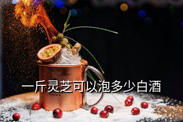 一斤灵芝可以泡多少白酒