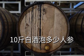 10斤白酒泡多少人参