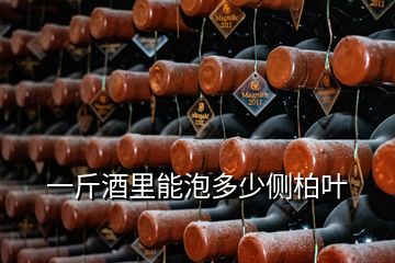 一斤酒里能泡多少侧柏叶