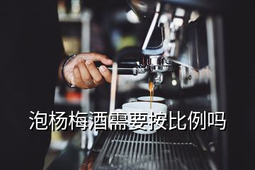 泡杨梅酒需要按比例吗