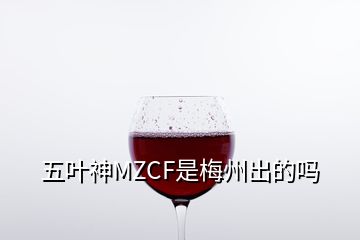 五叶神MZCF是梅州出的吗