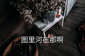 图里河在那啊