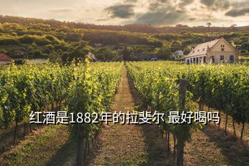 红酒是1882年的拉斐尔 最好喝吗