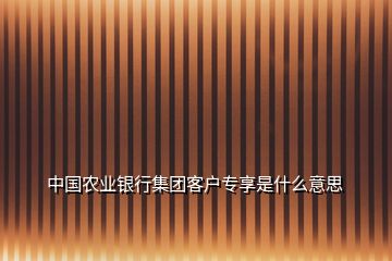 中国农业银行集团客户专享是什么意思