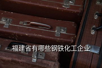 福建省有哪些钢铁化工企业