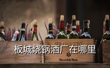 板城烧锅酒厂在哪里