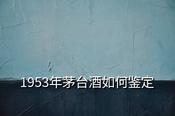 1953年茅台酒如何鉴定